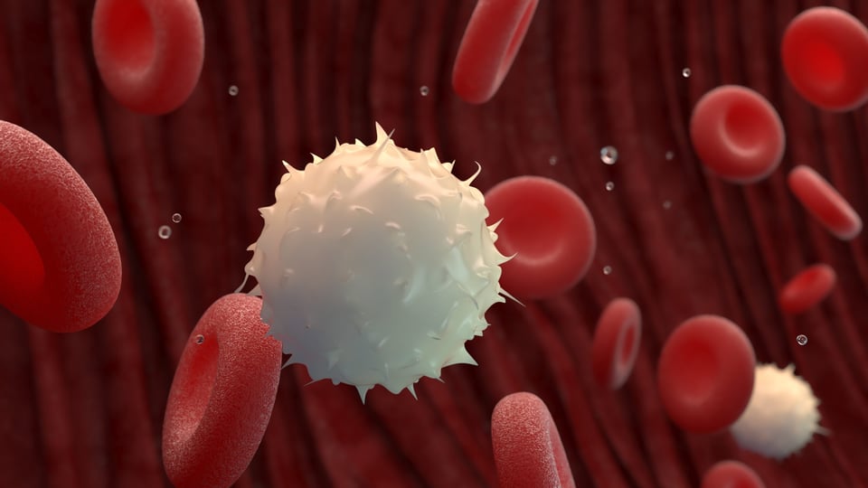 rare autoimmune diseases