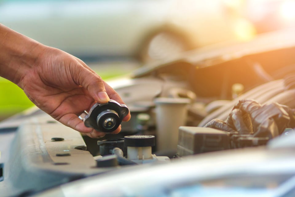 radiator cap, lower radiator cap, antifreeze change, Engine, MundoNOW