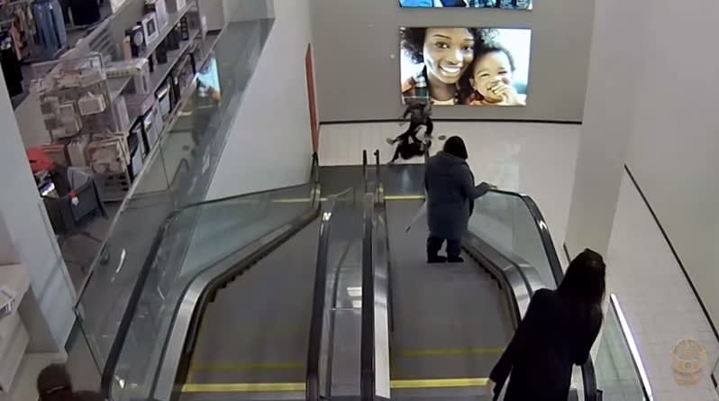LAPD publishes video of the shooting that killed the young Valentina Orellana Peralta